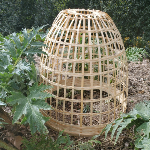 HEAVEN IN EARTH Bamboo Cloche - Medium 40cm