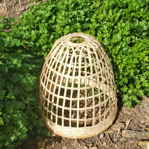 HEAVEN IN EARTH Bamboo Cloche - Small 30cm