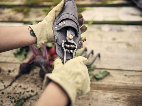 BAREBONES Metal Pruner with Sheath