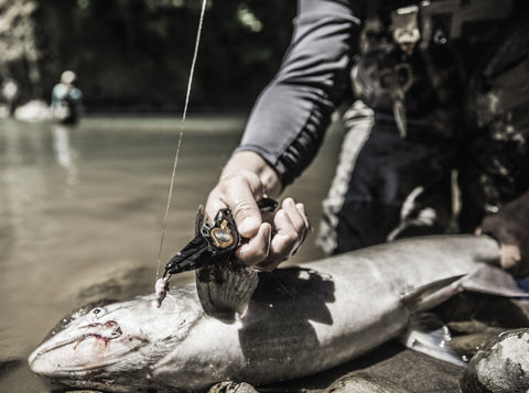 Gerber-Fishing-collection