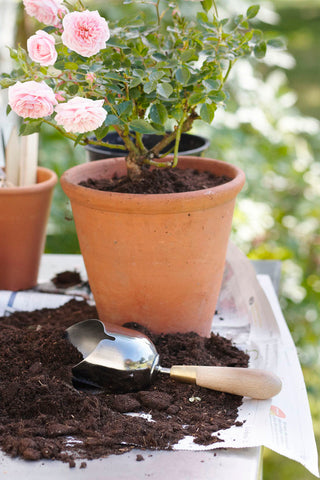 SOPHIE-CONRAN-COMPOST-SCOOP-BURGON-AND-BALL