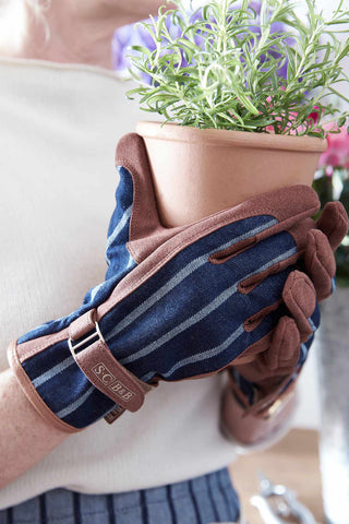 Sophie-Conran-Ticking-Gloves